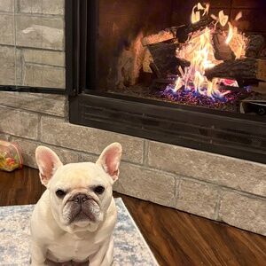 Meet your Posher, Kelsey